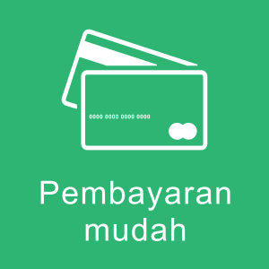 icon payment