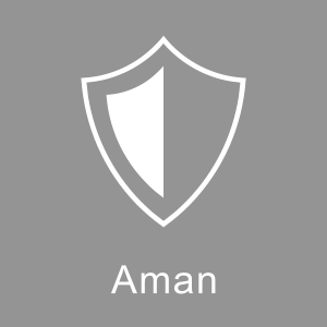 icon safe