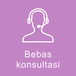 icon support