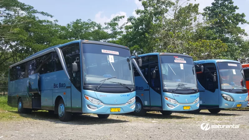 saturental – foto bus pariwisata big bird h