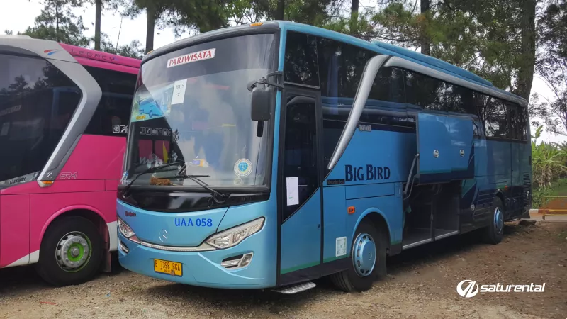 saturental – foto bus pariwisata big bird o