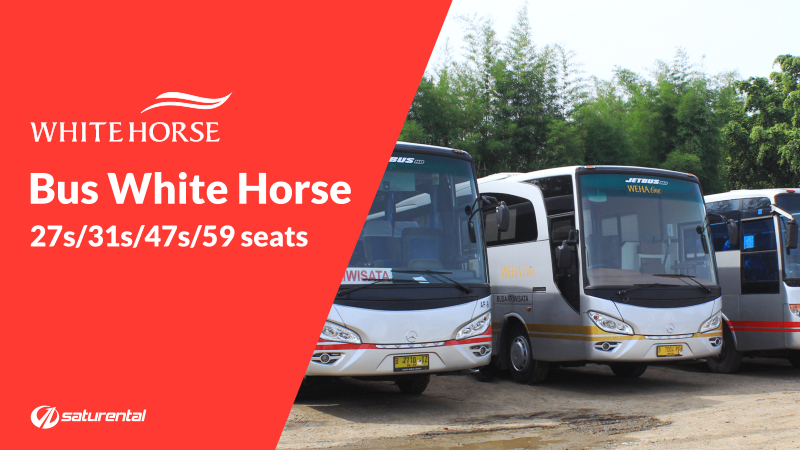saturental - foto bus pariwisata white horse a
