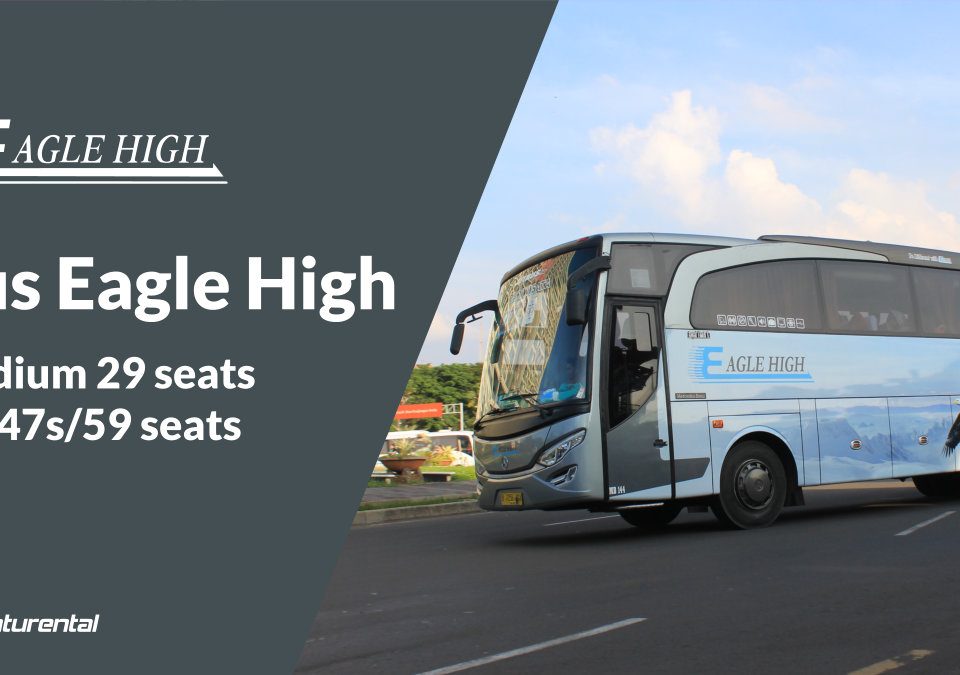 saturental foto bus pariwisata eagle high a