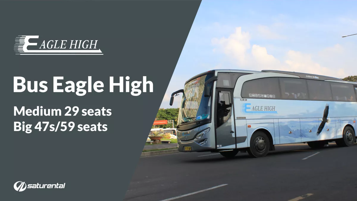 Eagle High: Sang Raja Jalan Raya di Tangerang Selatan, Mengurai Kisah Sukses Pool Bus Pariwisata