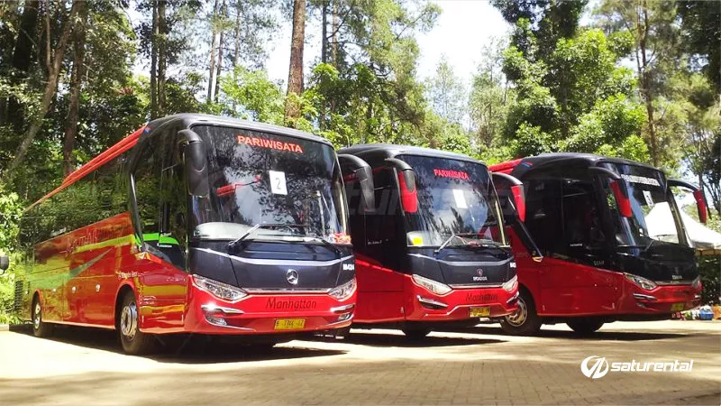 saturental – foto big bus pariwisata manhattan 47 59 seats b