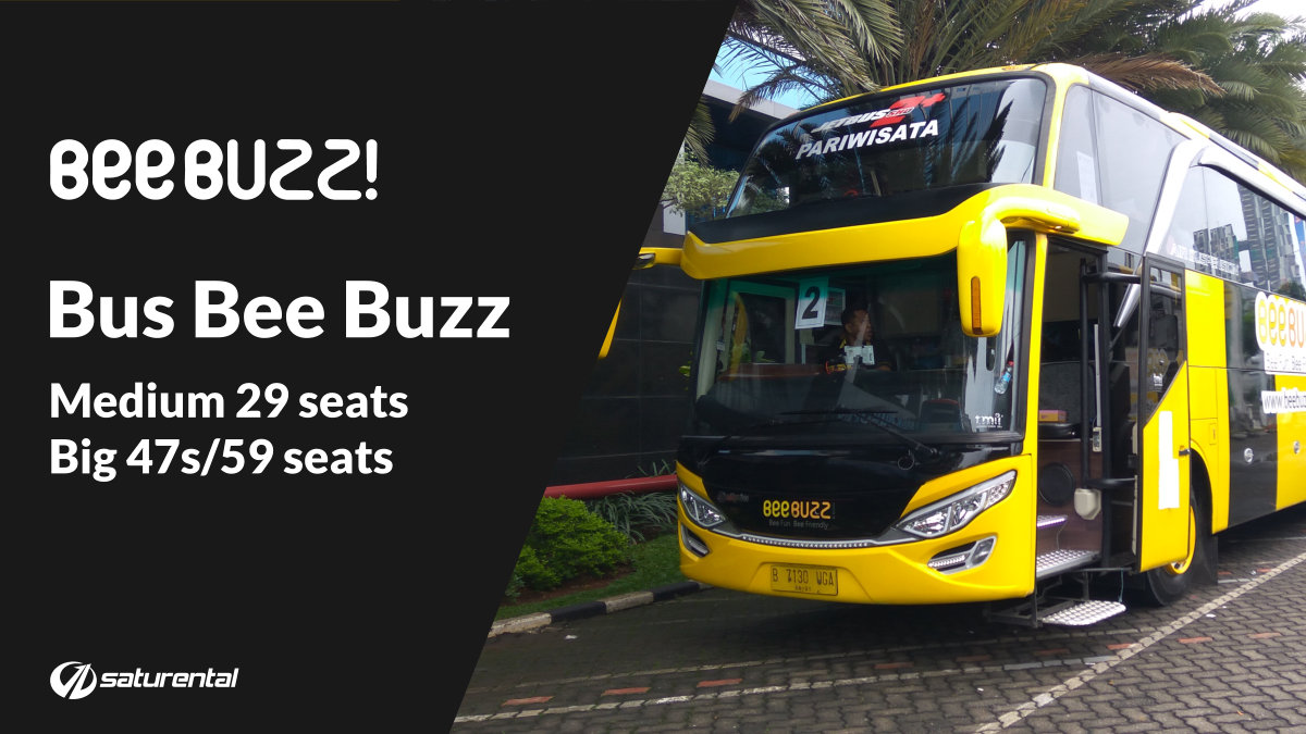 saturental - foto bus pariwisata beebuzz a saturental - foto bus pariwisata beebuzz a