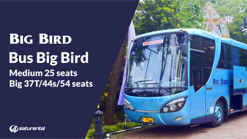 saturental - foto bus pariwisata big bird a 800 saturental - foto bus pariwisata big bird a 800