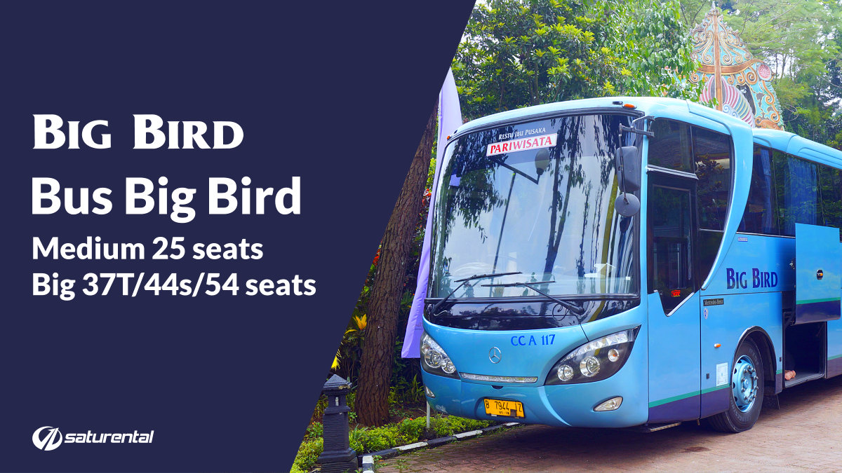 saturental-foto-bus-pariwisata-big-bird saturental-foto-bus-pariwisata-big-bird