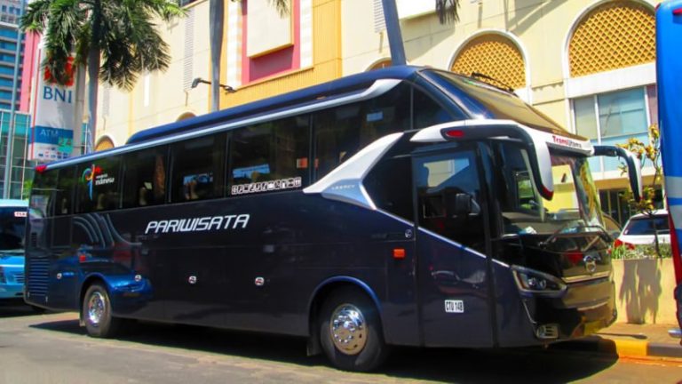 City Trans Pariwisata: Mengurai Potensi dan Tantangan Transportasi Wisata Modern di Indonesia