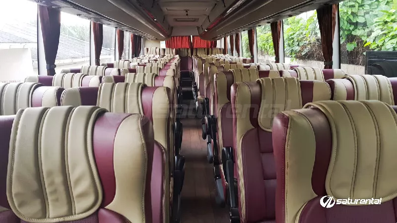 saturental – foto bus pariwisata manhattan interior dalam 47 59 seats shd terbaru a