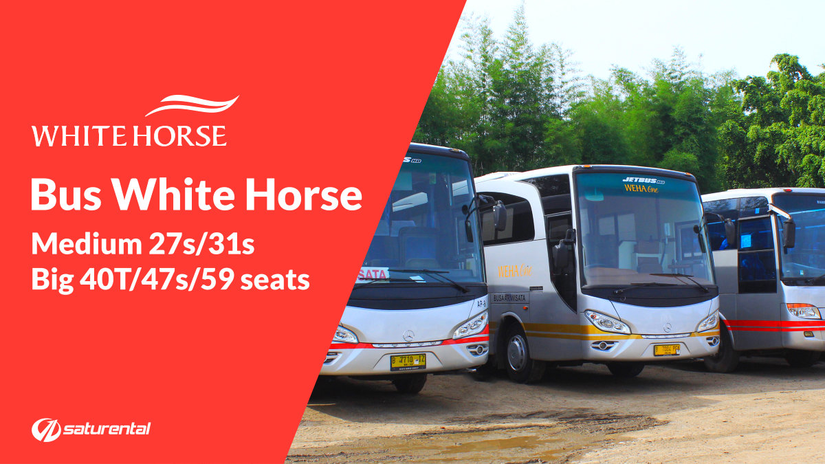 saturental - foto bus pariwisata white horse big bus saturental - foto bus pariwisata white horse big bus