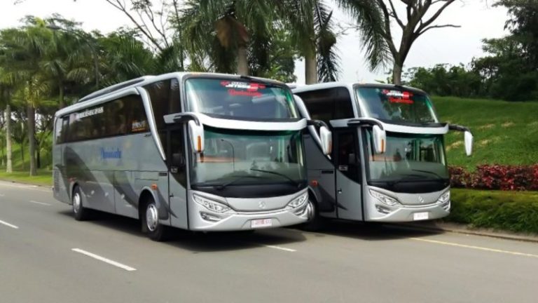 Tarif Bus Pariwisata Kerub ke Cibodas: Panduan Lengkap untuk Perjalanan Anda yang Tak Terlupakan