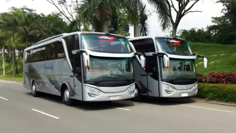 Harga Sewa Bus Pariwisata Kerub 2017: Panduan Lengkap dan Faktor-Faktor yang Mempengaruhinya