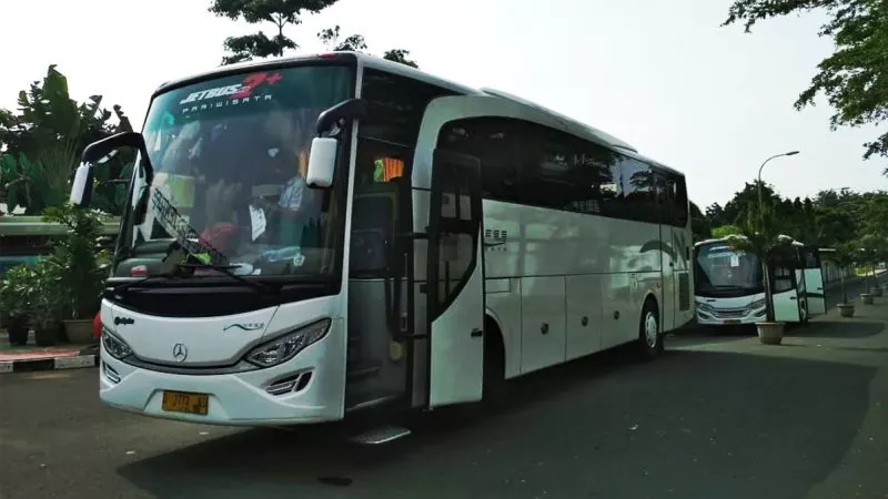 Ness Bus Pariwisata: Mengantar Petualangan Anda dengan Kenyamanan dan Keamanan