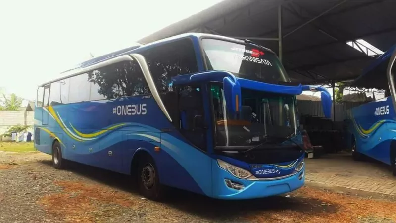 saturental – foto big bus pariwisata one bus shd hdd terbaru 59 seats b