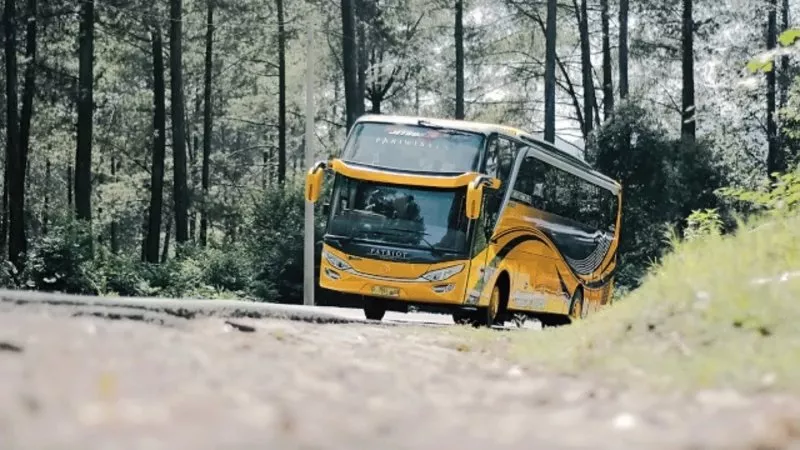 Patriot Bus Pariwisata: Mengarungi Nusantara dengan Kenyamanan dan Keamanan