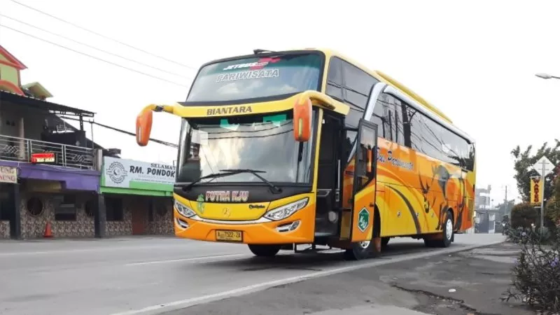 saturental – foto big bus pariwisata putra kju shd hdd terbaru 59 seats c