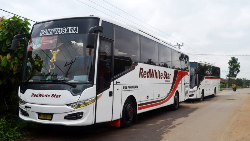 saturental – foto big bus pariwisata red white star primajasa 45s 57 seats c