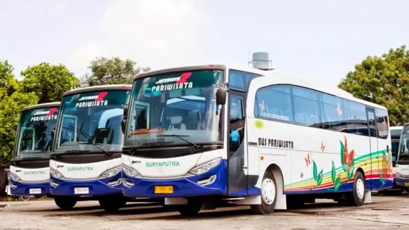 saturental – foto big bus pariwisata surya putra 45s 47s 53s 59 seats a