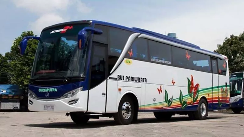 saturental – foto big bus pariwisata surya putra 45s 47s 53s 59 seats b