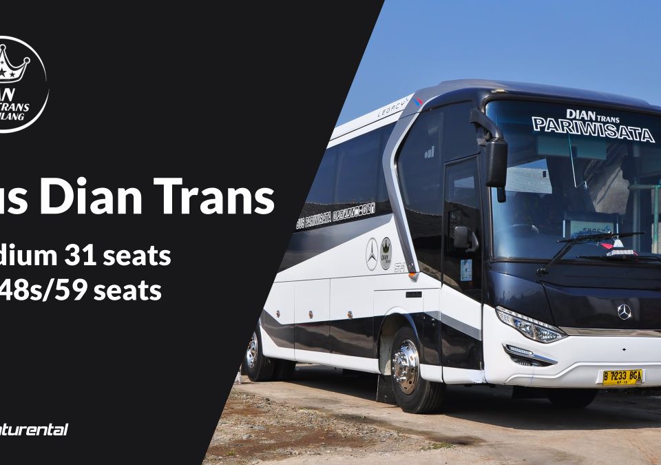 saturental foto bus pariwisata dian trans