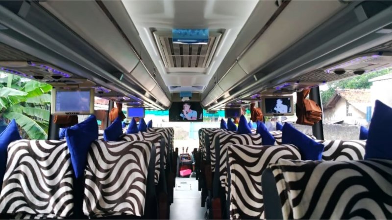 saturental – foto medium bus pariwisata ainon holiday interior dalam 25s 31s 39 seats b
