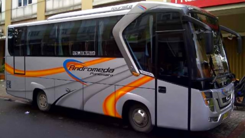 saturental – foto medium bus pariwisata andromeda 31 seats b