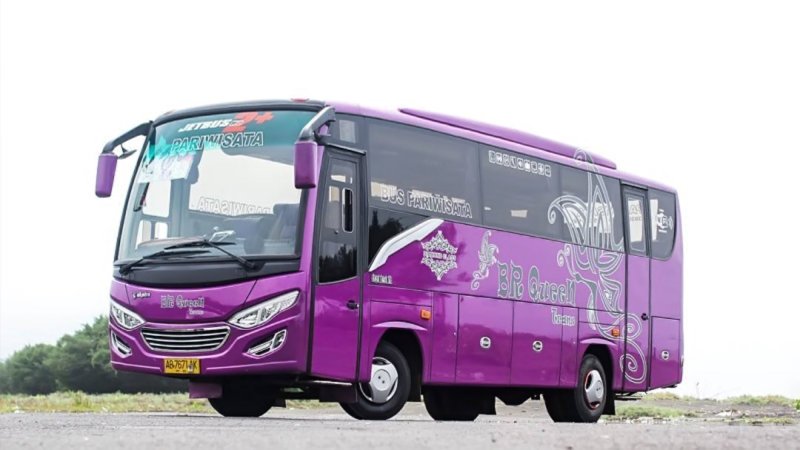saturental – foto medium bus pariwisata br queen trans 35 seats c