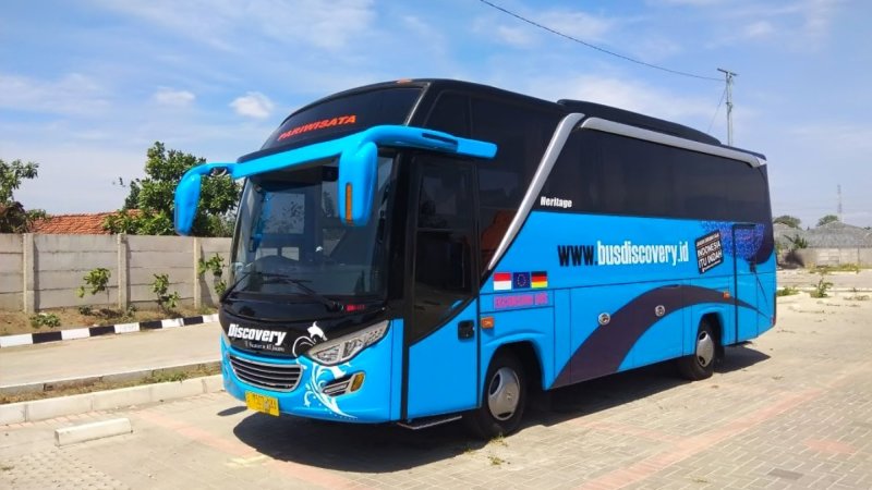 saturental – foto medium bus pariwisata discovery 31s 38 seats a