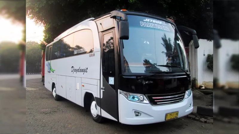 saturental – foto medium bus pariwisata djayalangit 31s 35 seats a