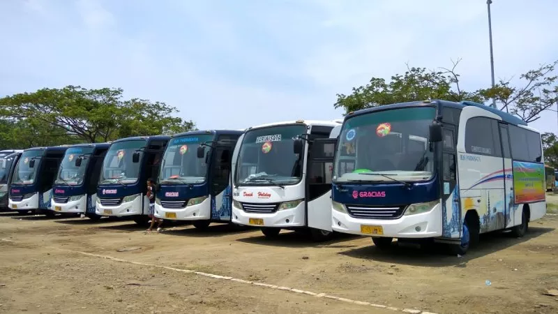 saturental – foto medium bus pariwisata gracias 27s 31 seats a
