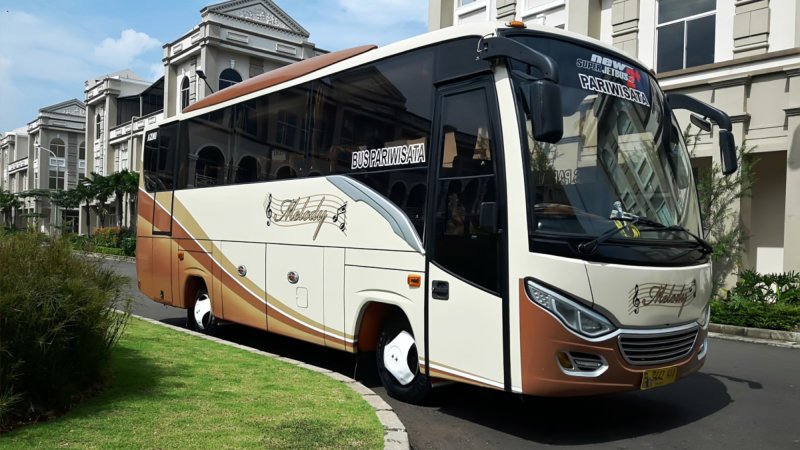 saturental – foto medium bus pariwisata melody transport 31s 33 seats e