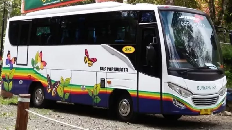 saturental – foto medium bus pariwisata surya putra 25s 31s 35 seats a