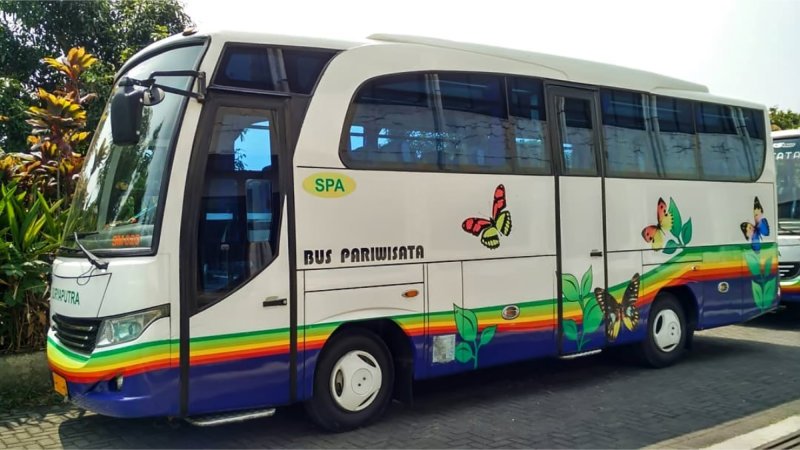 saturental – foto medium bus pariwisata surya putra 25s 31s 35 seats b