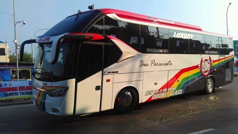 Po Bus  Pariwisata  B16