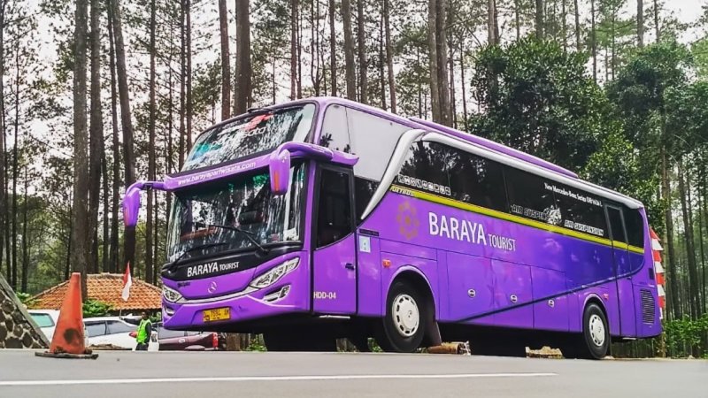 saturental – foto big bus pariwisata baraya tourist shd hdd terbaru 48s 59 seats b