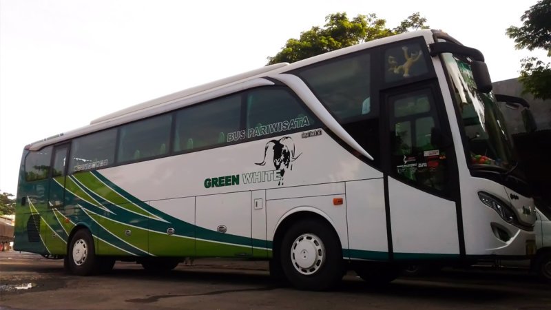 saturental – foto big bus pariwisata green white 59 seats b