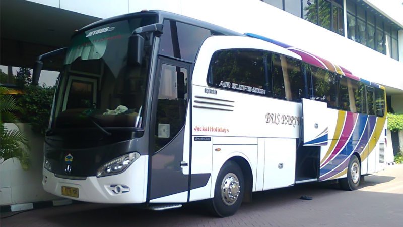 saturental – foto big bus pariwisata jackal holidays 47s 59 seats a