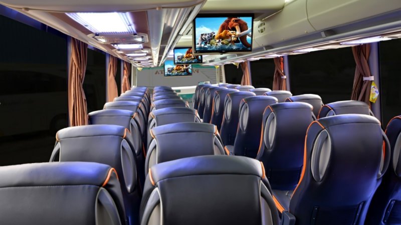 saturental – foto big bus pariwisata jackal holidays shd hdd terbaru interior dalam 47s 59 seats b