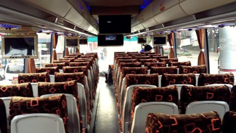 saturental – foto big bus pariwisata piknik bus interior dalam 59 seats b