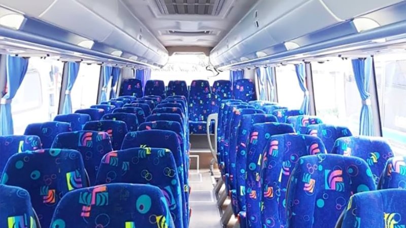 saturental – foto big bus pariwisata royal platinum shd hdd terbaru interior dalam 43s 52s 59 seats a
