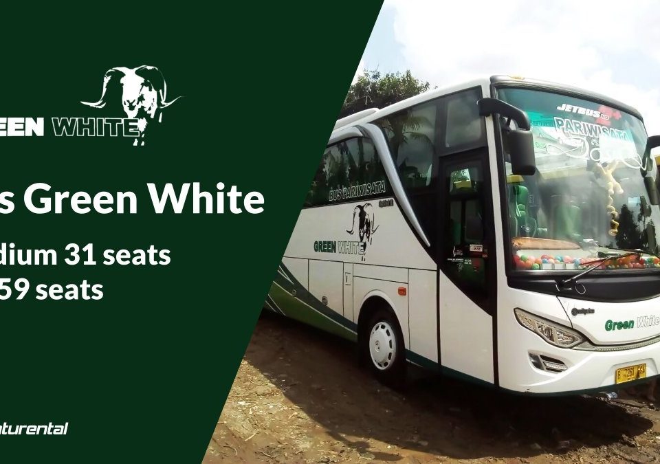 saturental foto bus pariwisata green white