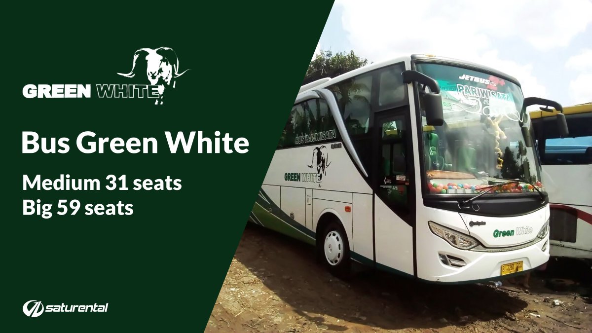 saturental – foto bus pariwisata green white