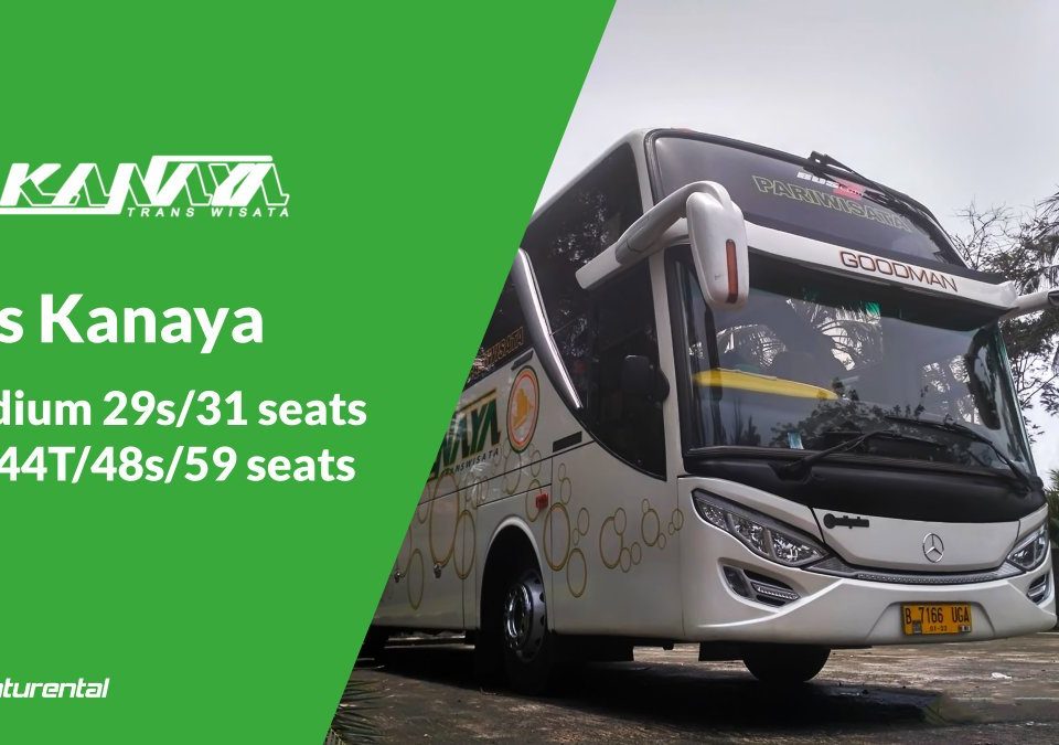 saturental foto bus pariwisata kanaya