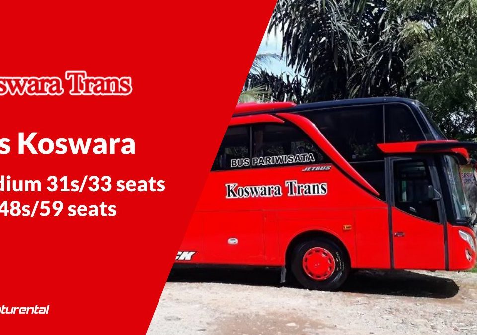 saturental foto bus pariwisata koswara trans