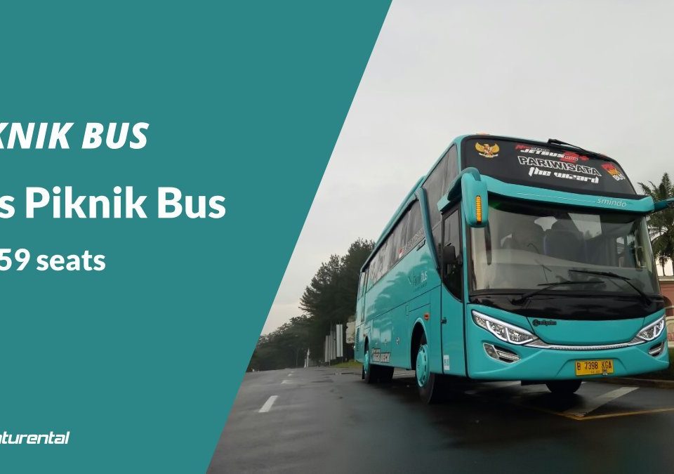 saturental foto bus pariwisata piknik bus