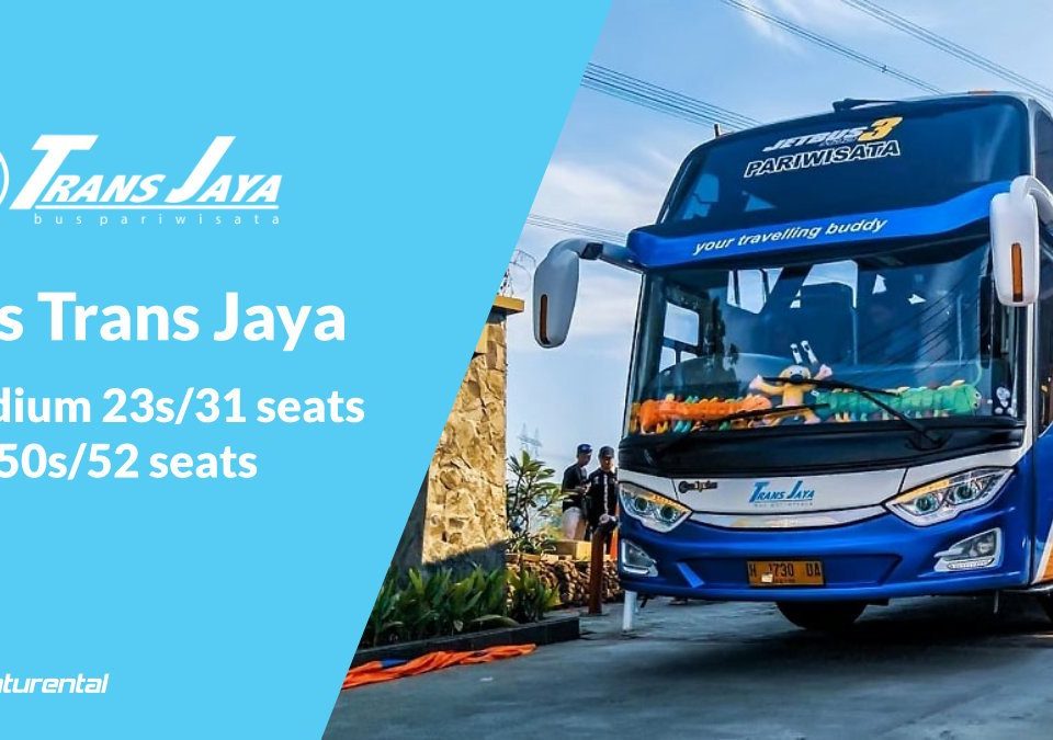 saturental foto bus pariwisata trans jaya
