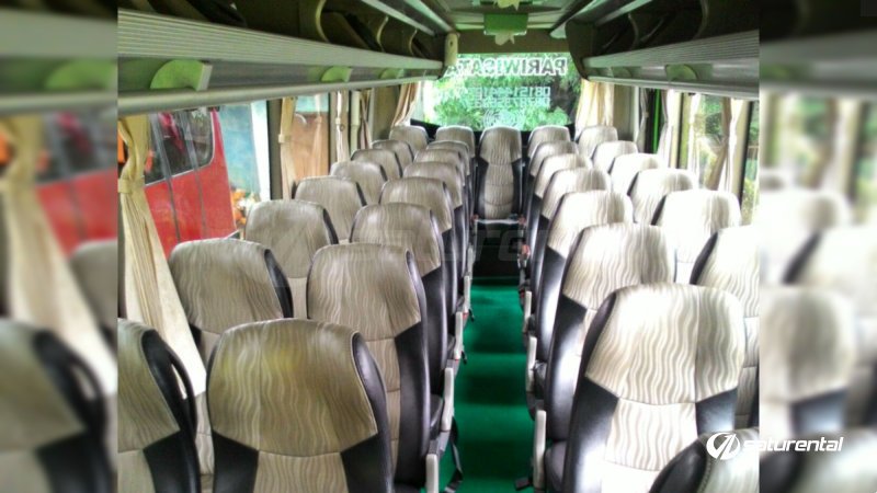 saturental – foto medium bus pariwisata abituren 96 interior dalam 31s 33 seats h