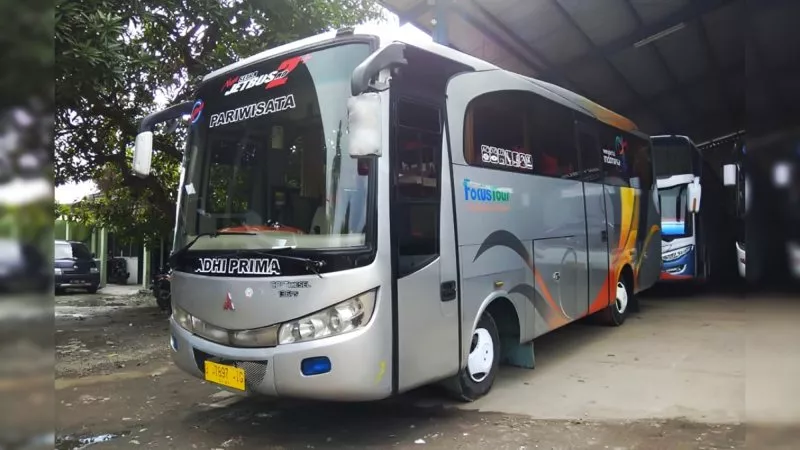 saturental – foto medium bus pariwisata adhi prima 29s 31 seats b