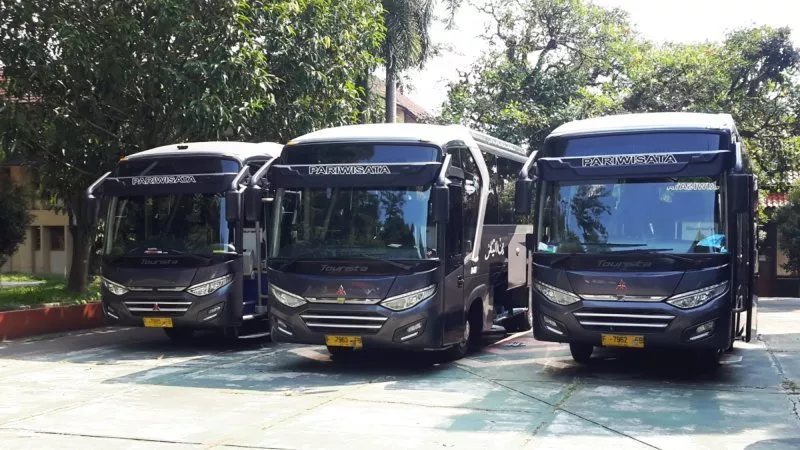 saturental – foto medium bus pariwisata bin ilyas 29s 33s 40 seats a